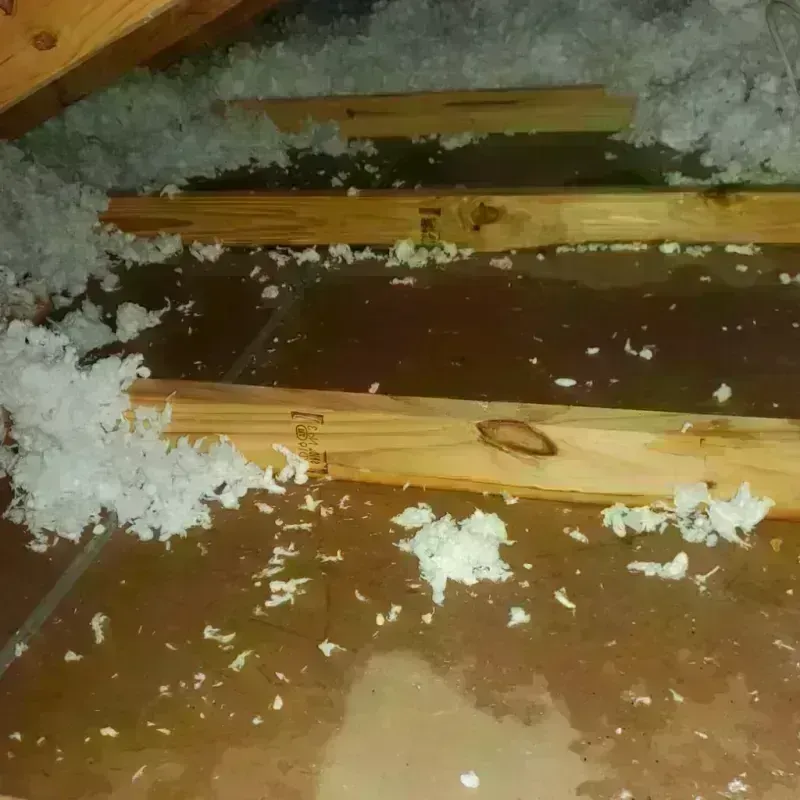 Attic Water Damage in Mesquite, TX