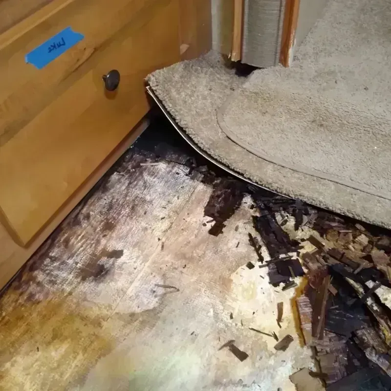 Wood Floor Water Damage in Mesquite, TX